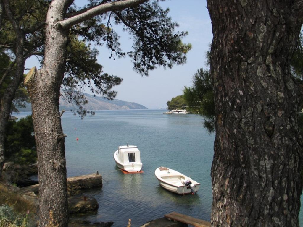 Apartment Falcon Stari Grad  Chambre photo